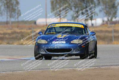 media/Oct-14-2023-CalClub SCCA (Sat) [[0628d965ec]]/Group 4/Qualifying/